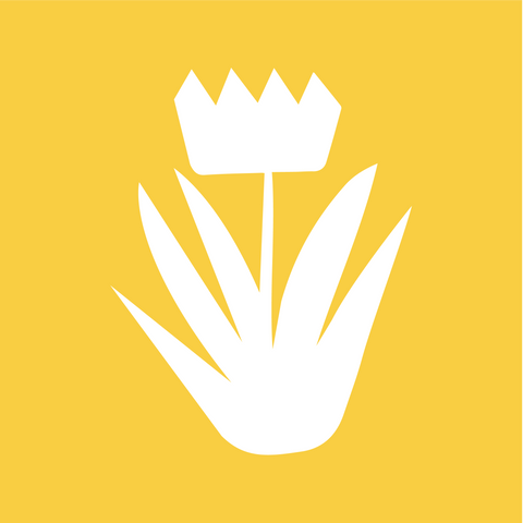 Spicy Bomba Marinated Chicken Breast Sandwich